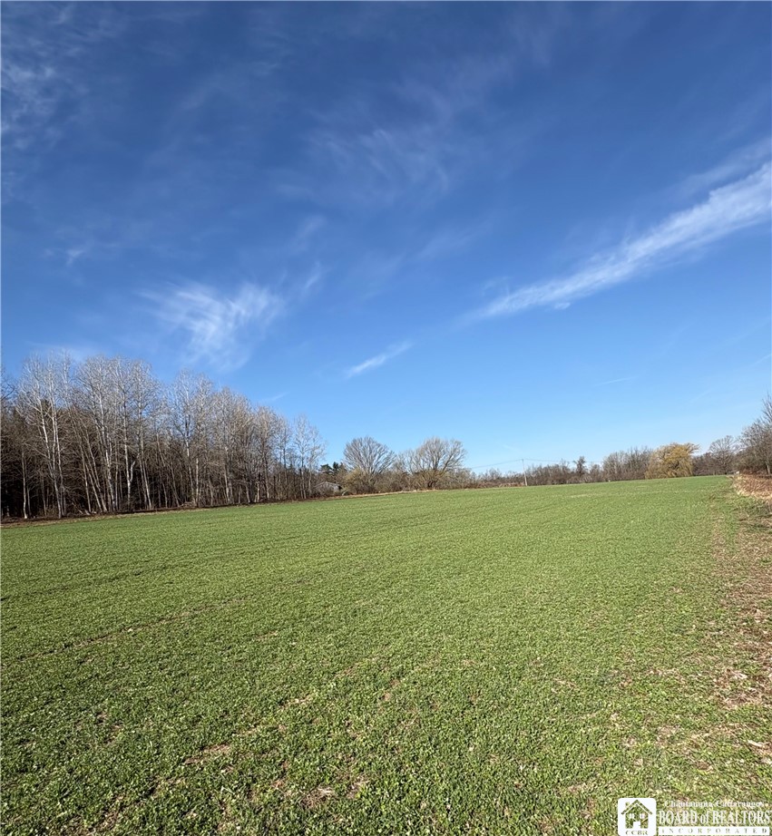 5438 Harvey Road Ellery, NY 14782 - Photo 12 of 43