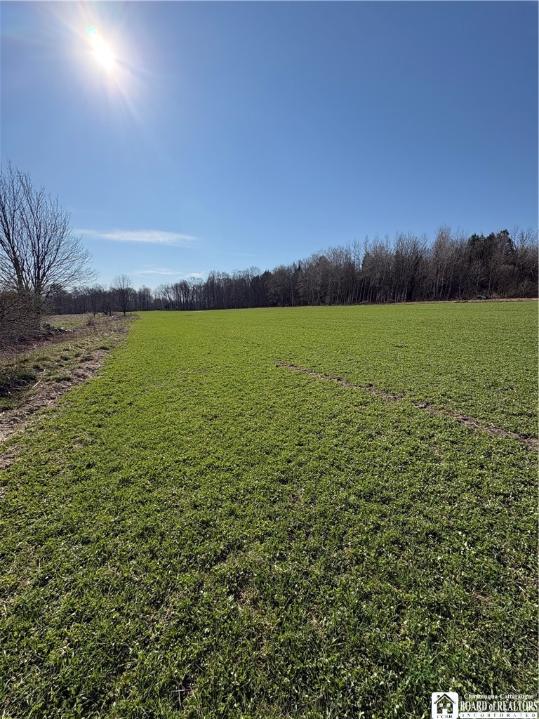 5438 Harvey Road Ellery, NY 14782 - Photo 13 of 43