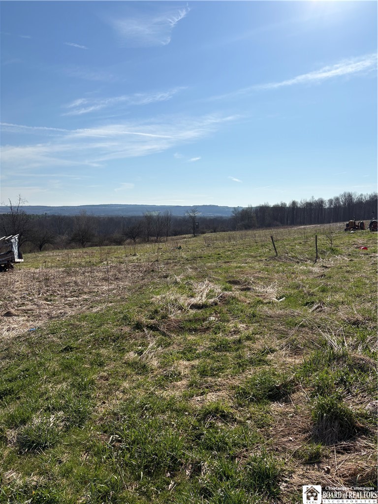 5438 Harvey Road Ellery, NY 14782 - Photo 16 of 43