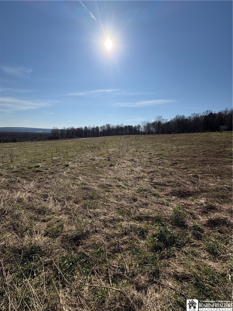 5438 Harvey Road Ellery, NY 14782 - Photo 17 of 43