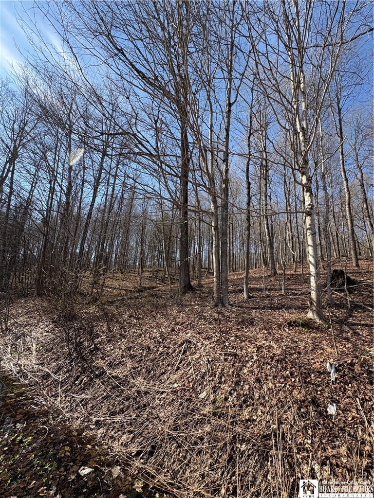 5438 Harvey Road Ellery, NY 14782 - Photo 18 of 43