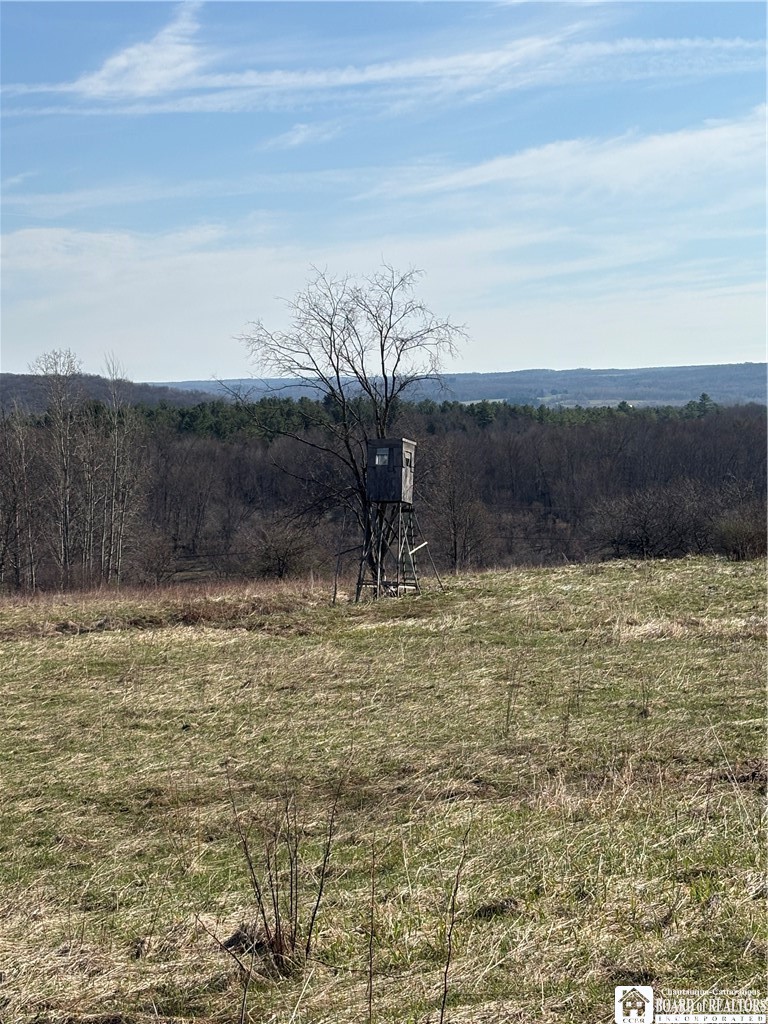 5438 Harvey Road Ellery, NY 14782 - Photo 19 of 43