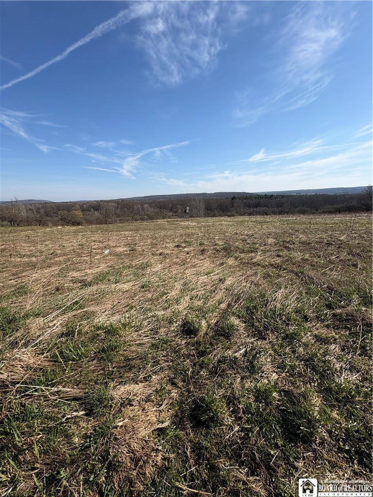 5438 Harvey Road Ellery, NY 14782 - Photo 22 of 43