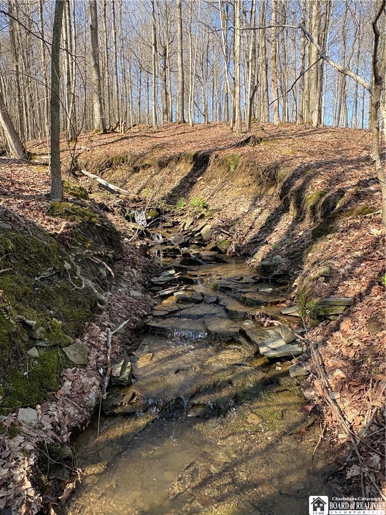 5438 Harvey Road Ellery, NY 14782 - Photo 24 of 43