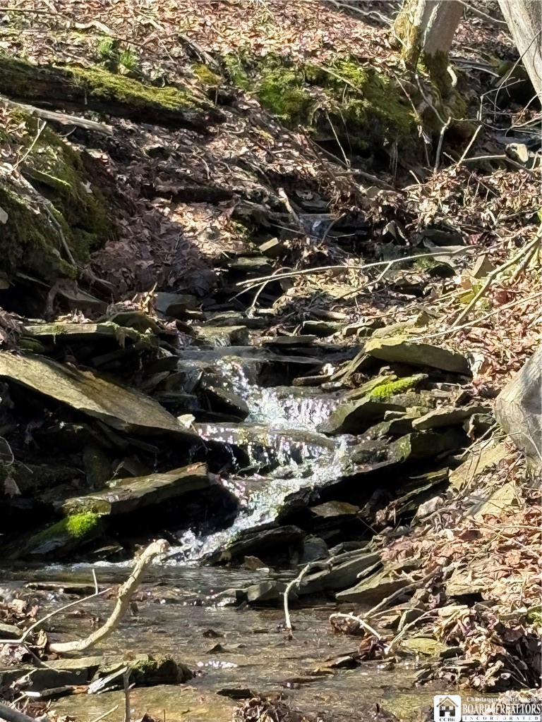 5438 Harvey Road Ellery, NY 14782 - Photo 25 of 43