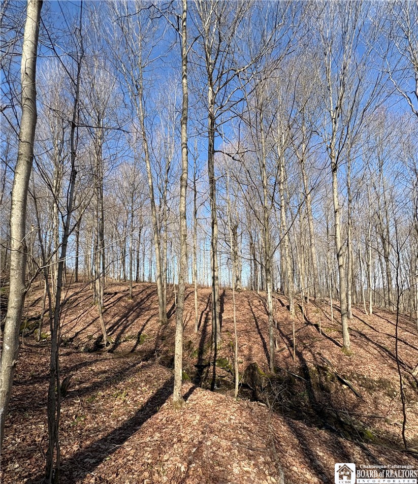 5438 Harvey Road Ellery, NY 14782 - Photo 27 of 43