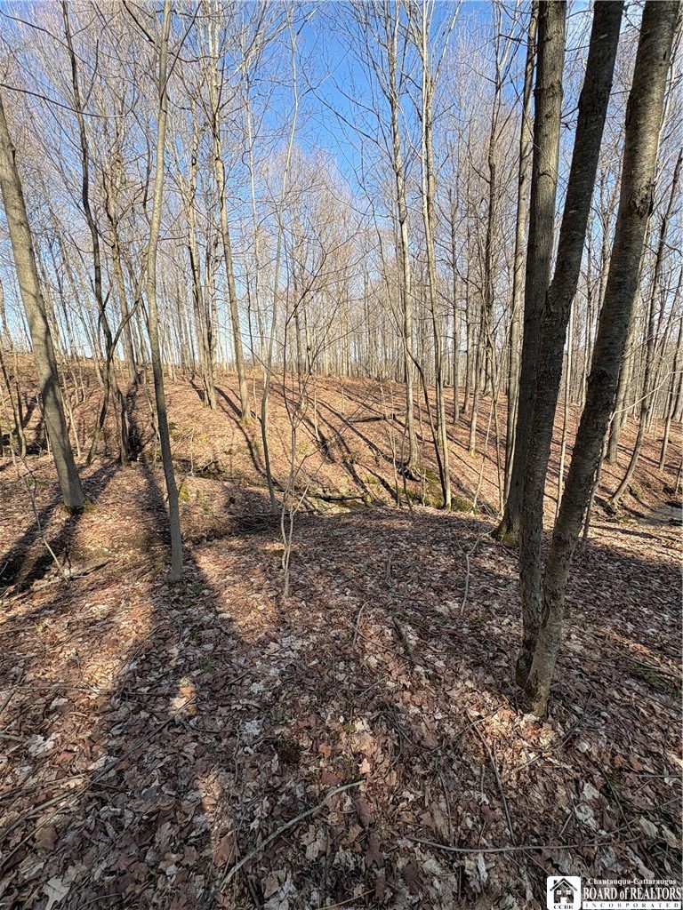 5438 Harvey Road Ellery, NY 14782 - Photo 28 of 43