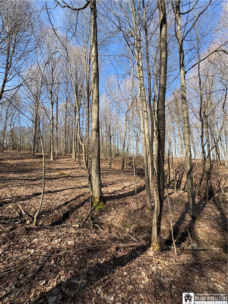 5438 Harvey Road Ellery, NY 14782 - Photo 29 of 43