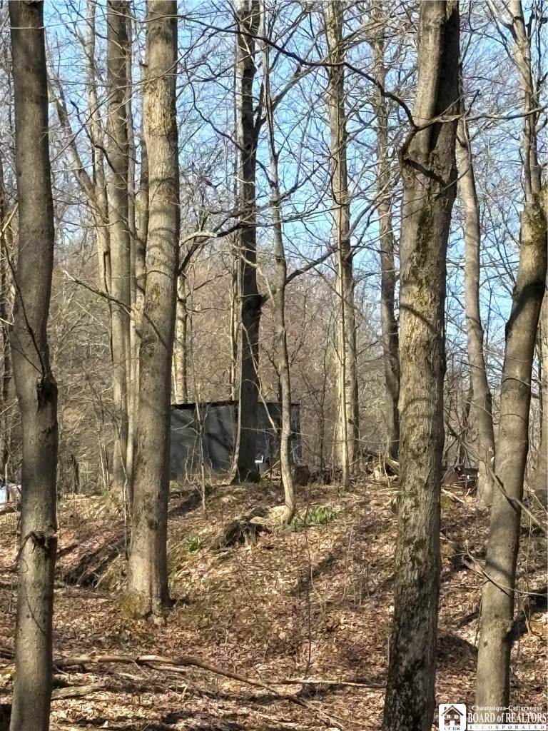 5438 Harvey Road Ellery, NY 14782 - Photo 30 of 43