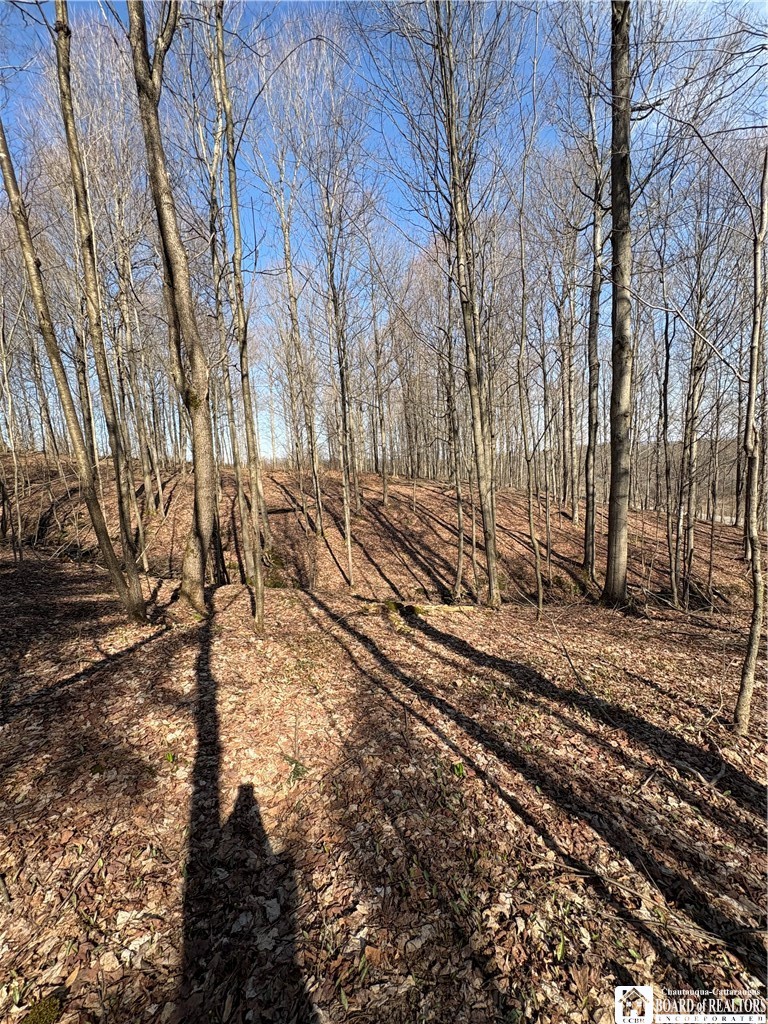 5438 Harvey Road Ellery, NY 14782 - Photo 31 of 43