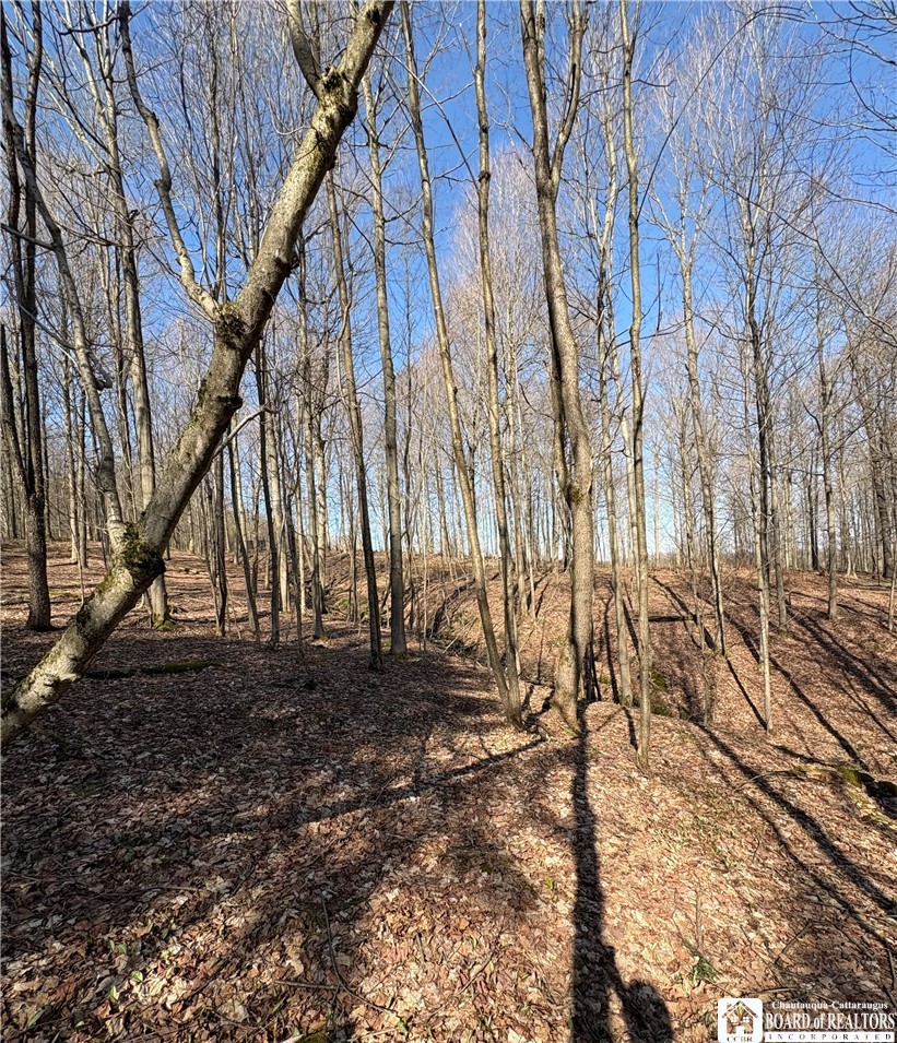 5438 Harvey Road Ellery, NY 14782 - Photo 32 of 43