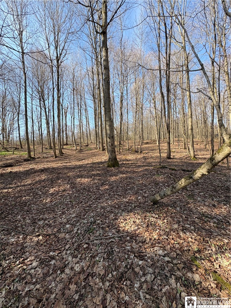 5438 Harvey Road Ellery, NY 14782 - Photo 33 of 43