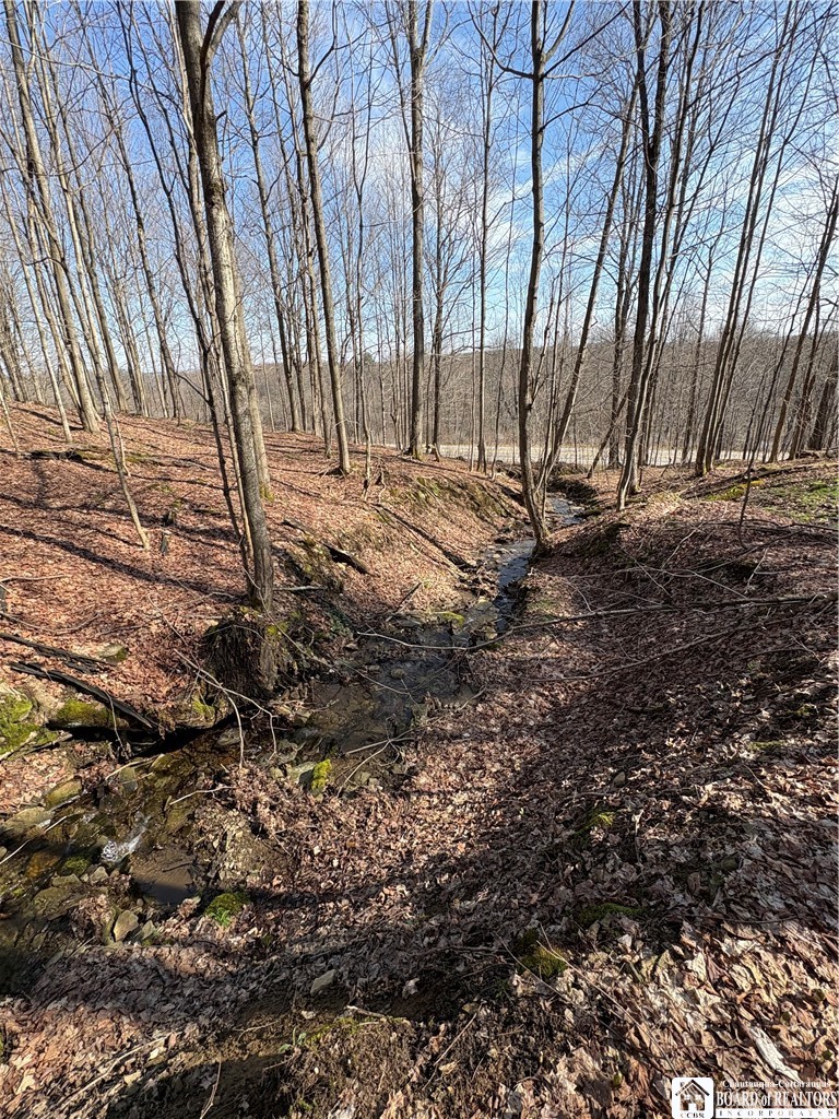 5438 Harvey Road Ellery, NY 14782 - Photo 34 of 43