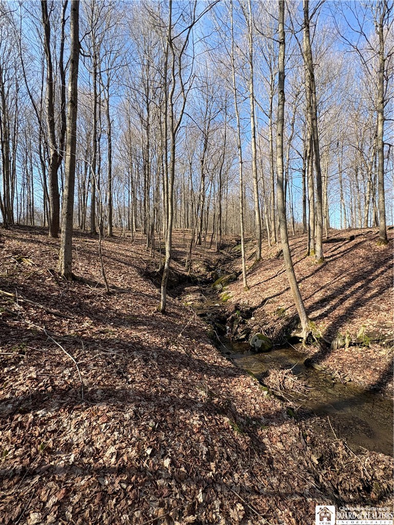 5438 Harvey Road Ellery, NY 14782 - Photo 35 of 43