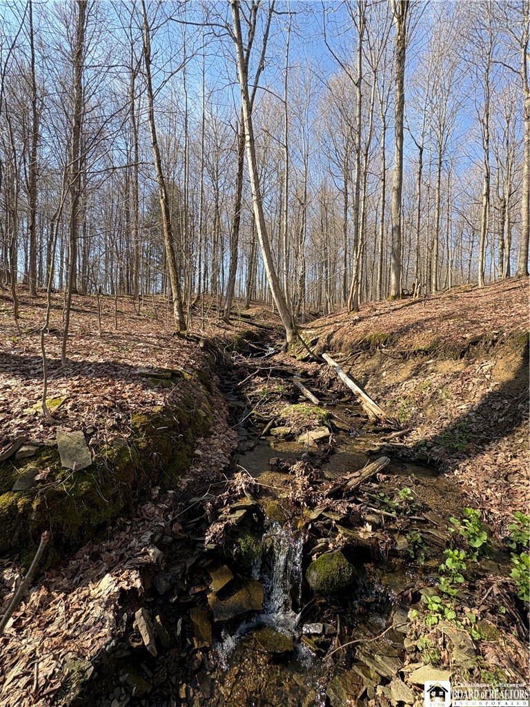 5438 Harvey Road Ellery, NY 14782 - Photo 36 of 43