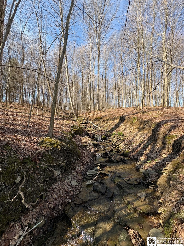 5438 Harvey Road Ellery, NY 14782 - Photo 37 of 43