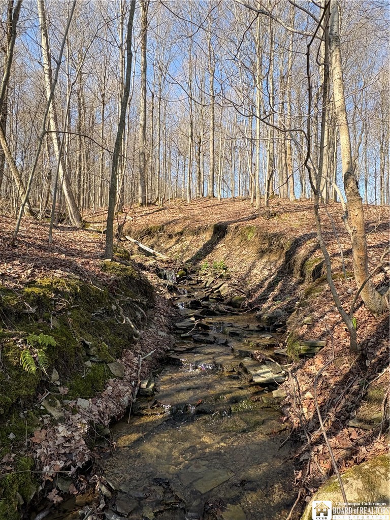 5438 Harvey Road Ellery, NY 14782 - Photo 38 of 43