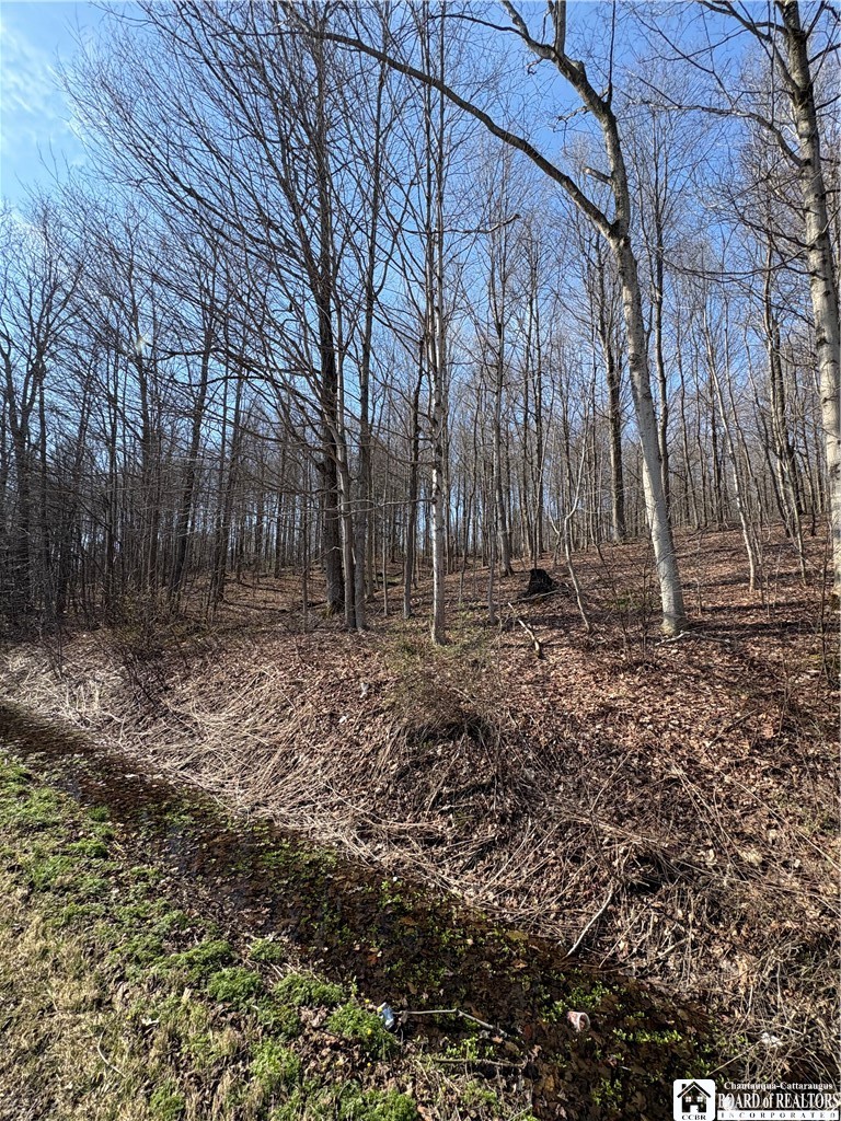 5438 Harvey Road Ellery, NY 14782 - Photo 39 of 43