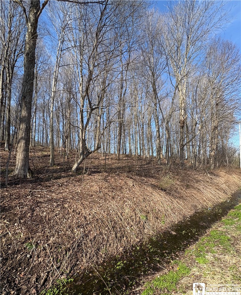 5438 Harvey Road Ellery, NY 14782 - Photo 40 of 43