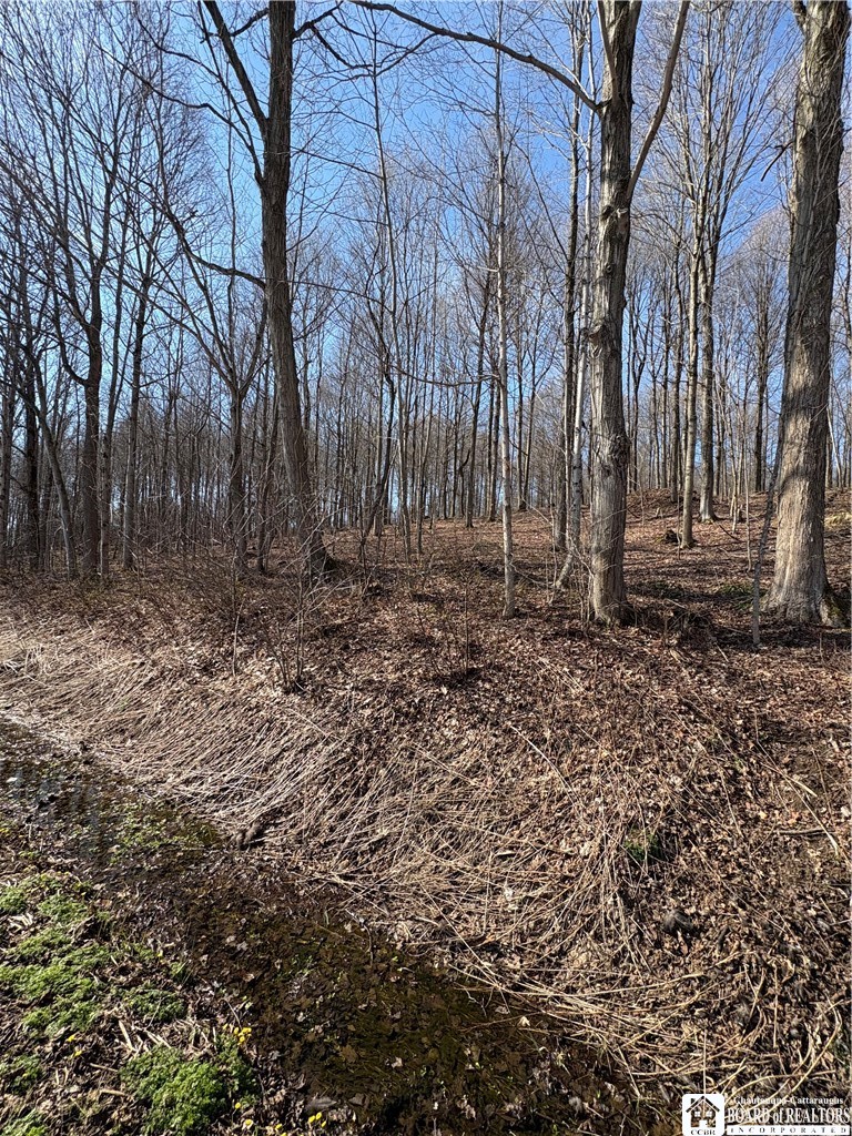 5438 Harvey Road Ellery, NY 14782 - Photo 41 of 43