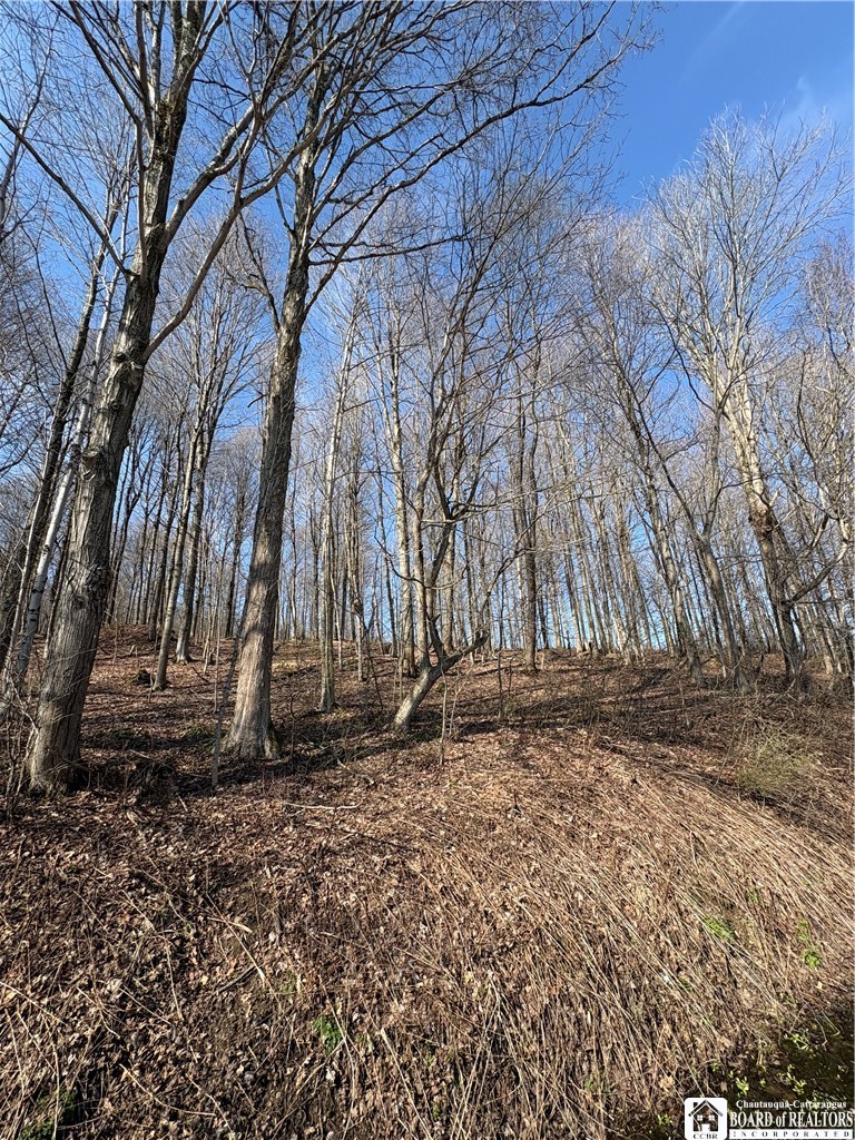 5438 Harvey Road Ellery, NY 14782 - Photo 42 of 43