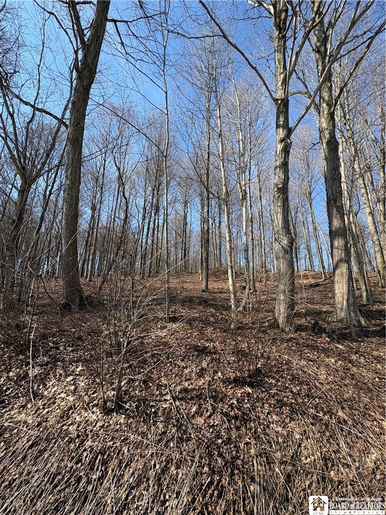 5438 Harvey Road Ellery, NY 14782 - Photo 43 of 43