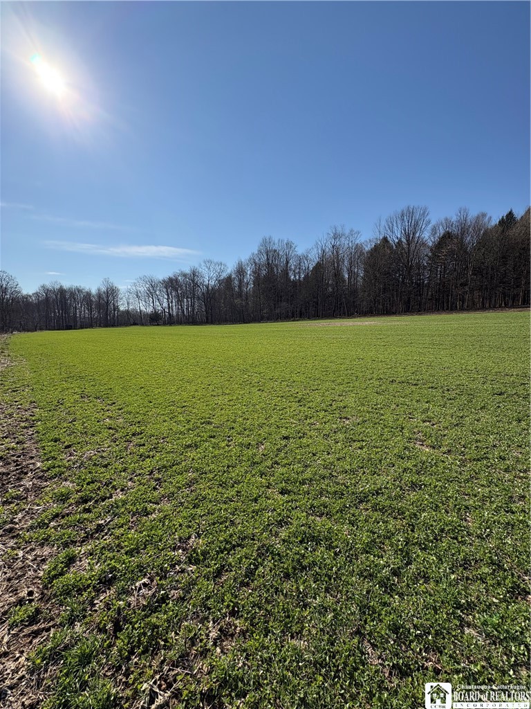 5438 Harvey Road Ellery, NY 14782 - Photo 9 of 43