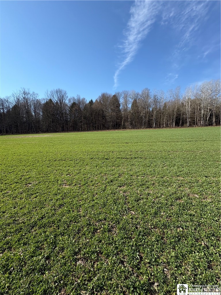 5438 Harvey Road Ellery, NY 14782 - Photo 10 of 43