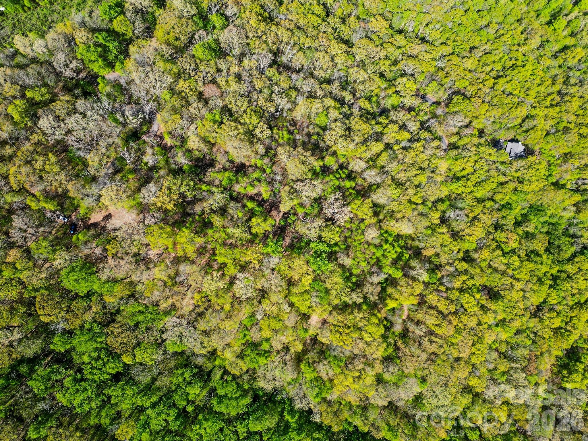 0 Oat Field Road, Unit 5B Tuckasegee, NC 28783 - Photo 13 of 17 a view of a tree