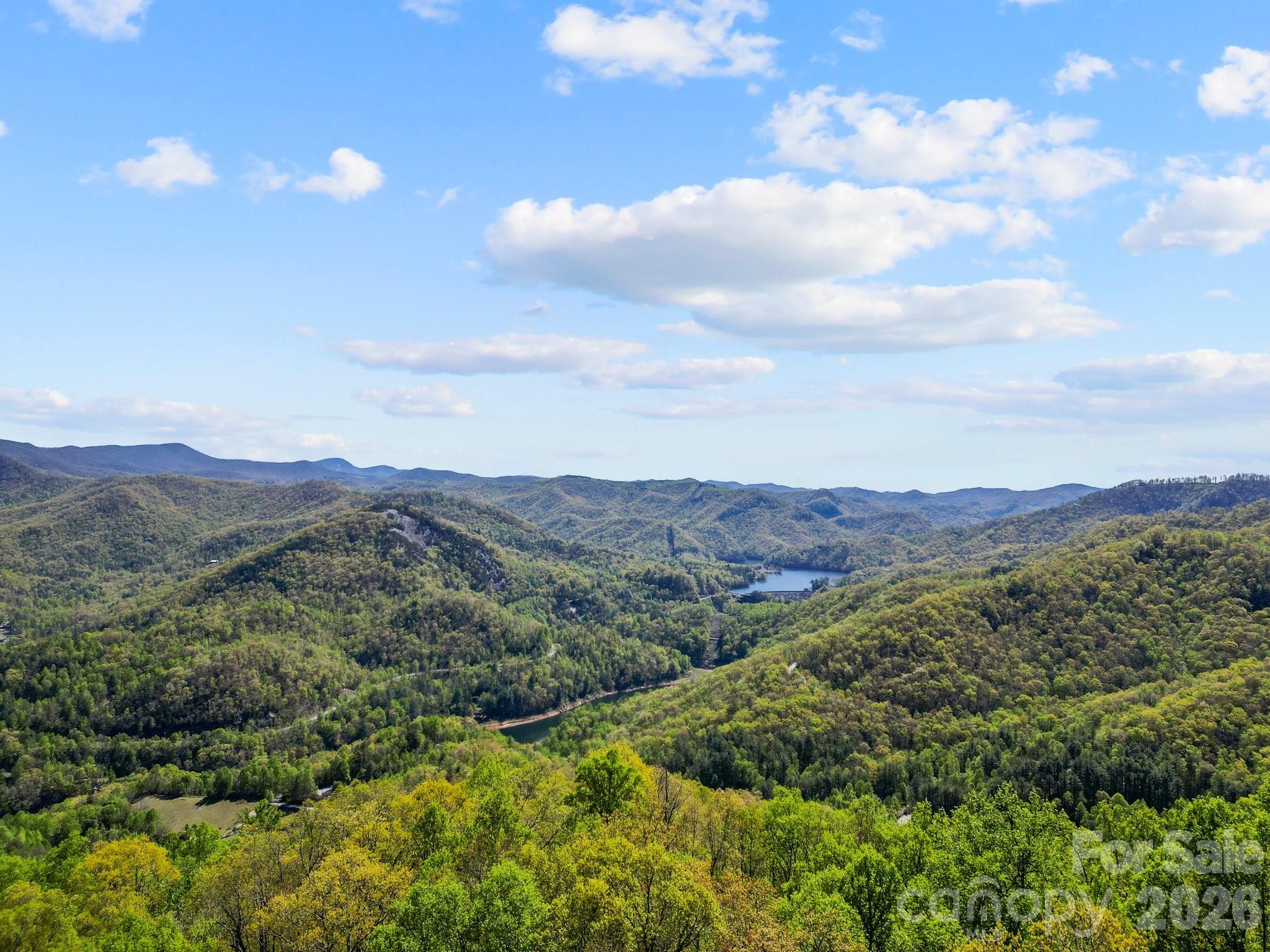 0 Oat Field Road, Unit 5B Tuckasegee, NC 28783 - Photo 15 of 17 a view of a lush green hillside and a houses