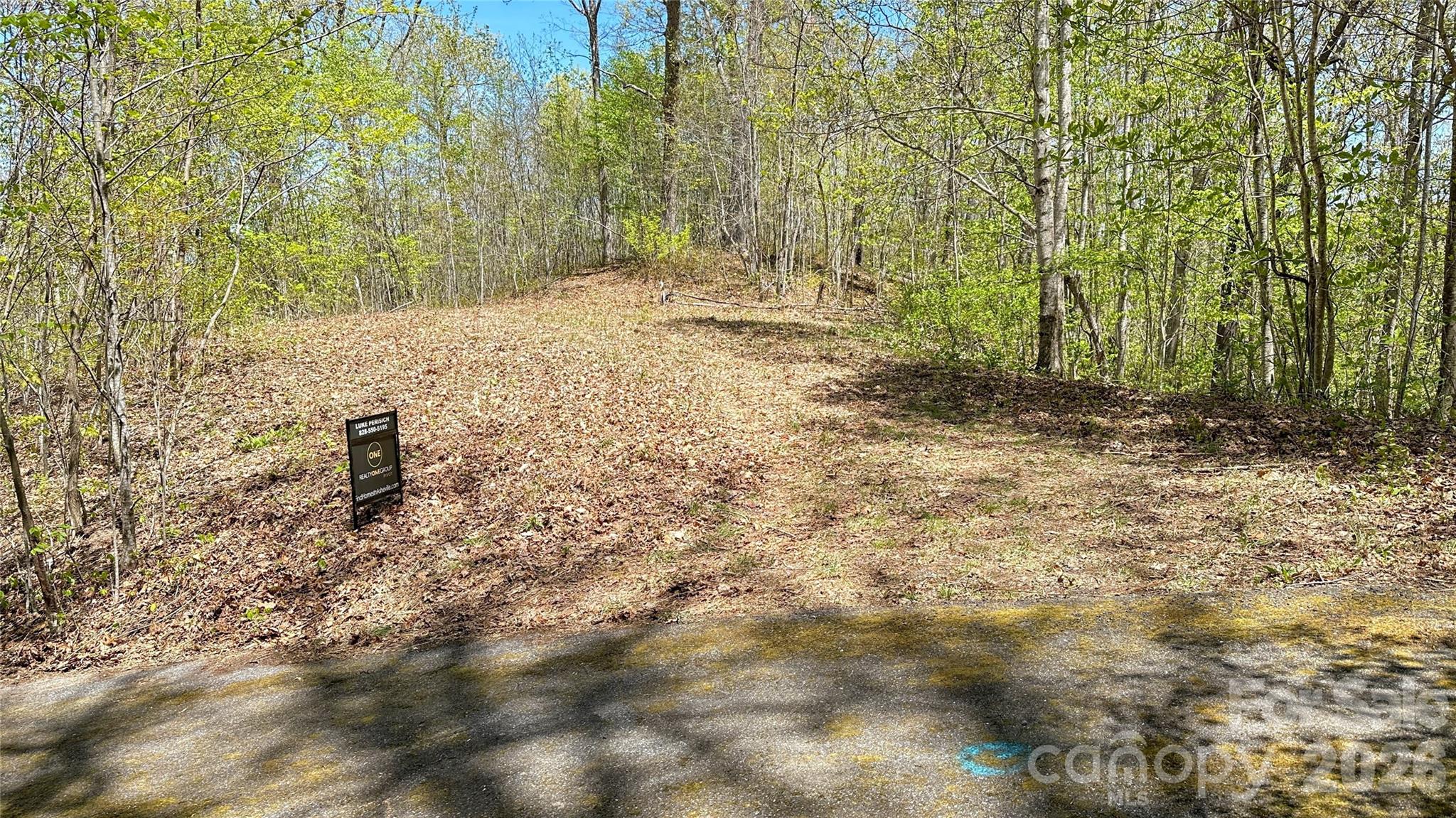 0 Oat Field Road, Unit 5B Tuckasegee, NC 28783 - Photo 3 of 17 a backyard of a house with lots of green space and shower