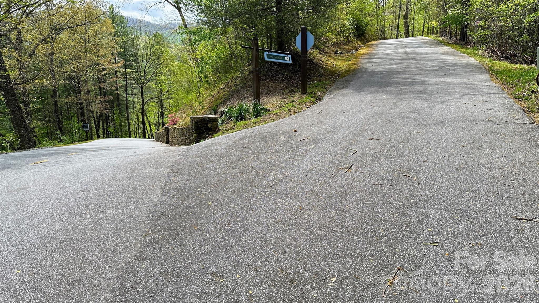 0 Oat Field Road, Unit 5B Tuckasegee, NC 28783 - Photo 8 of 17 a view of a backyard of the house