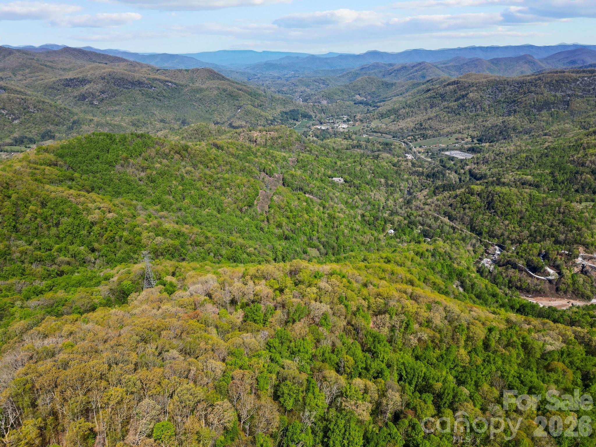0 Oat Field Road, Unit 5B Tuckasegee, NC 28783 - Photo 9 of 17 a view of a lush green hillside and a mountain