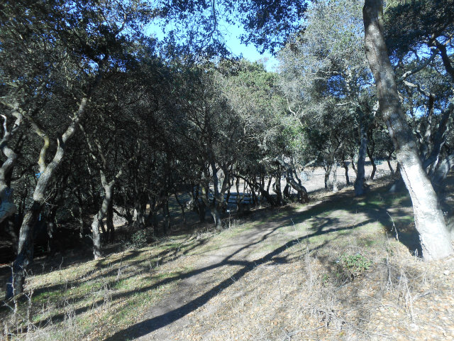 854 Cole Road Aromas, CA 95004 - Photo 12 of 14 Gallery Image 12