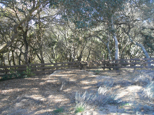 854 Cole Road Aromas, CA 95004 - Photo 14 of 14 Gallery Image 14