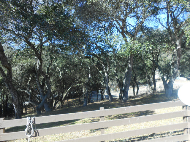 854 Cole Road Aromas, CA 95004 - Photo 9 of 14 Gallery Image 9