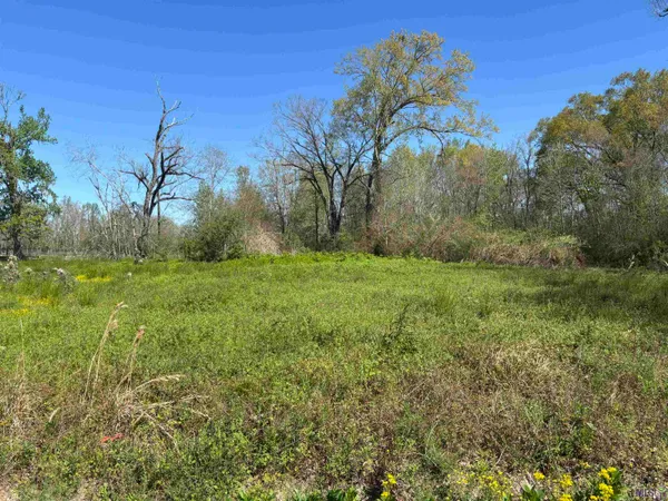 $40,000 | 0 Don Lou Drive, Gonzales, LA 70737