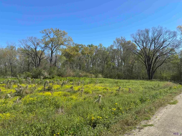$40,000 | 0 Don Lou Drive, Gonzales, LA 70737