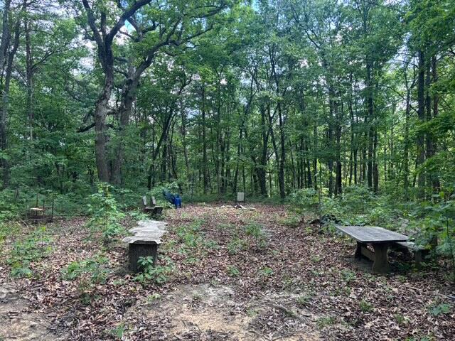 590 Black Mountain Road Dunlap, TN 37327 - Photo 13 of 20 IMG_6645