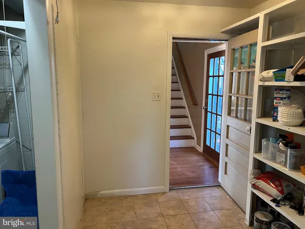 a view of a yard with large trees