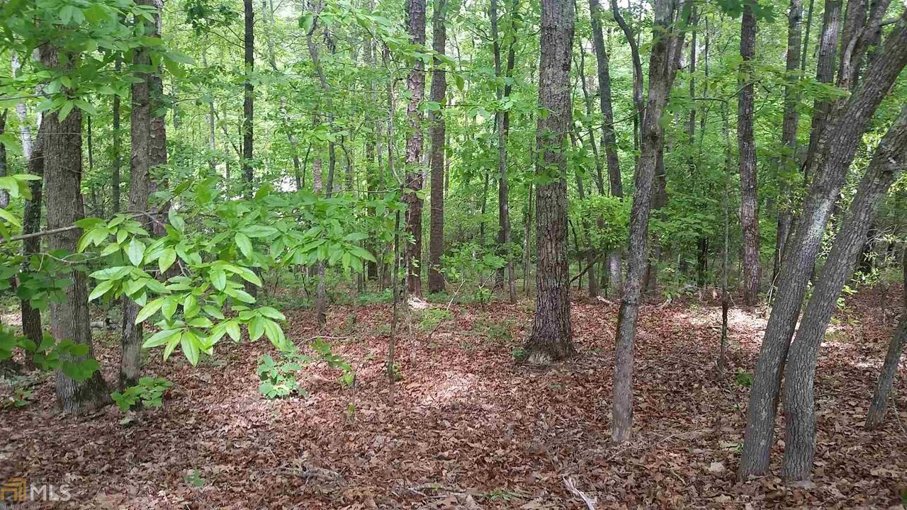 19 Windy Acres Road Sautee Nacoochee, GA 30571 - Photo 1 of 1 Gallery Image 1