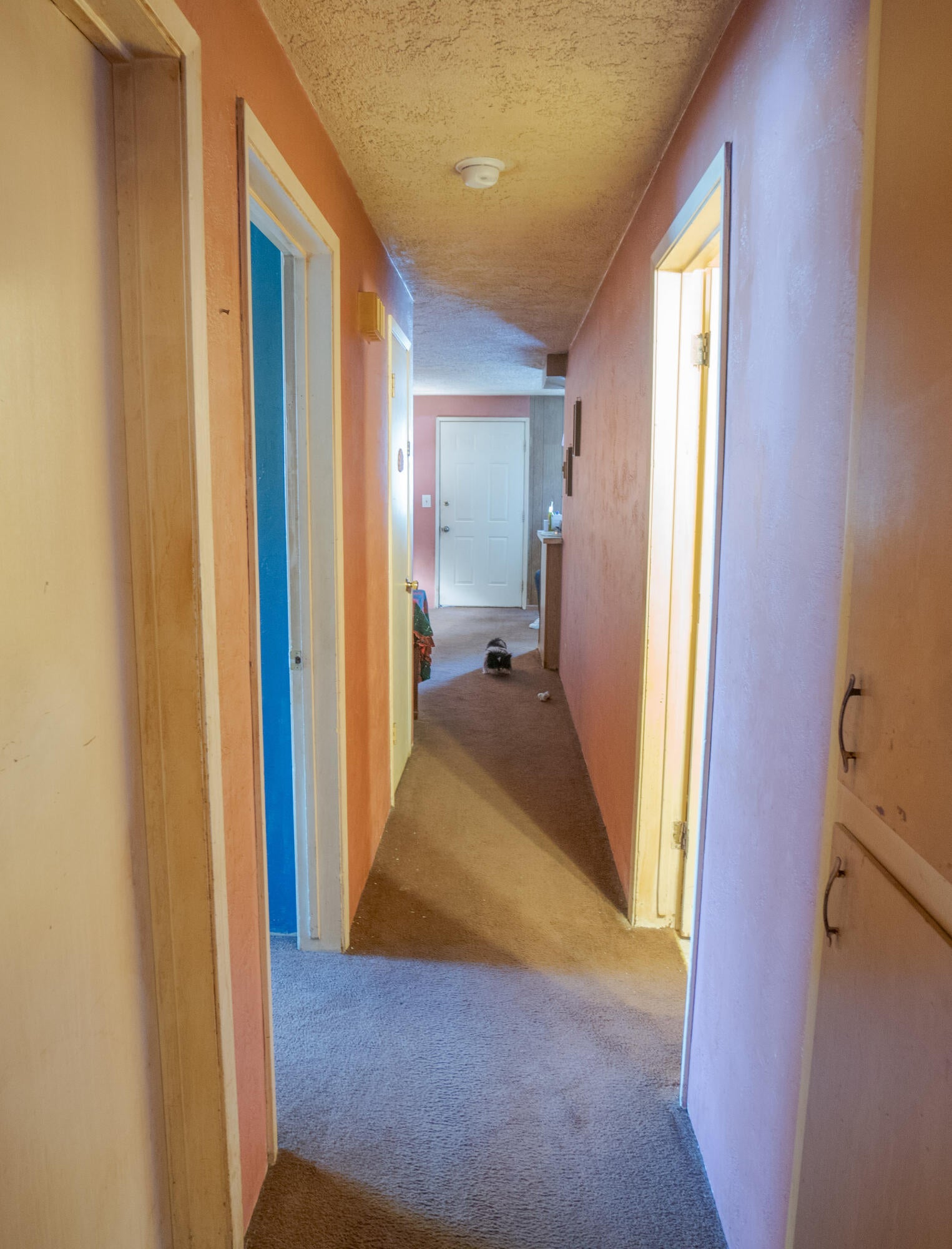 2725 Merriman Road Medford, OR 97501 - Photo 10 of 22 DSC00117