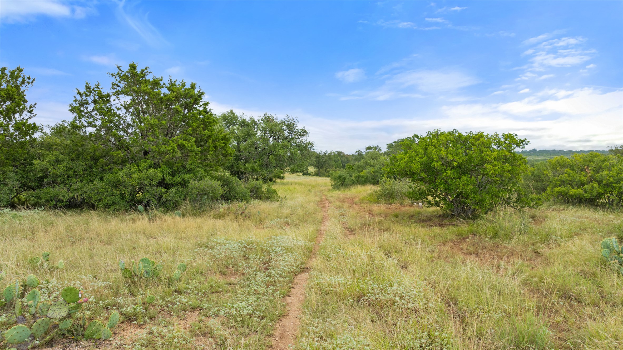 Lot 37 Vista Rdg Drive Round Mountain, TX 78663 - Photo 6 of 30 View of undeveloped land