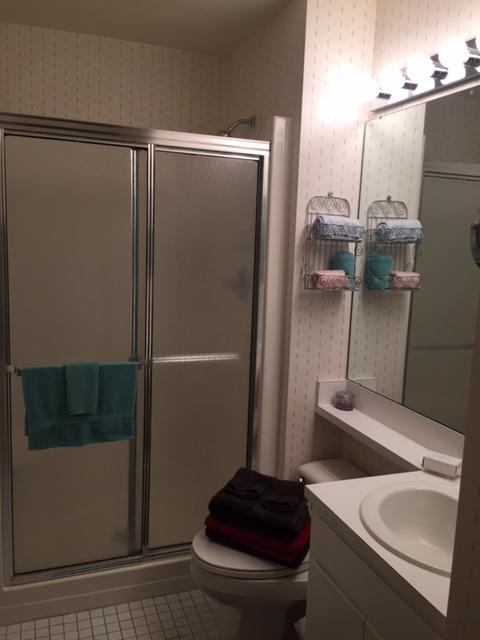 850 Gangplank Road, Unit 304 Moneta, VA 24121 - Photo 14 of 36 12