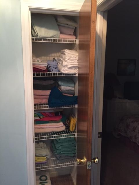 850 Gangplank Road, Unit 304 Moneta, VA 24121 - Photo 29 of 36 closet