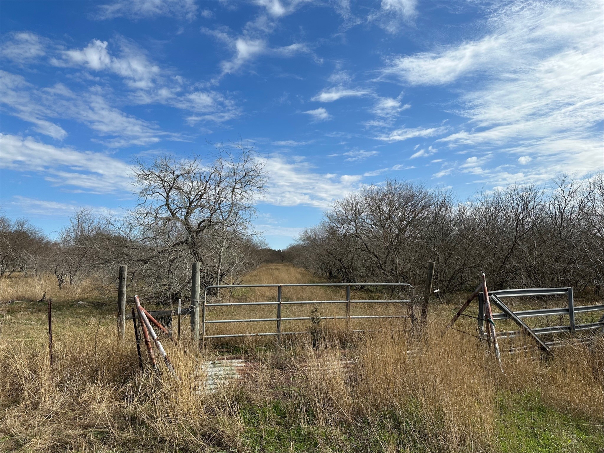 0 Schubert Road Victoria, TX 77905 - Photo 6 of 8 a view of a lake