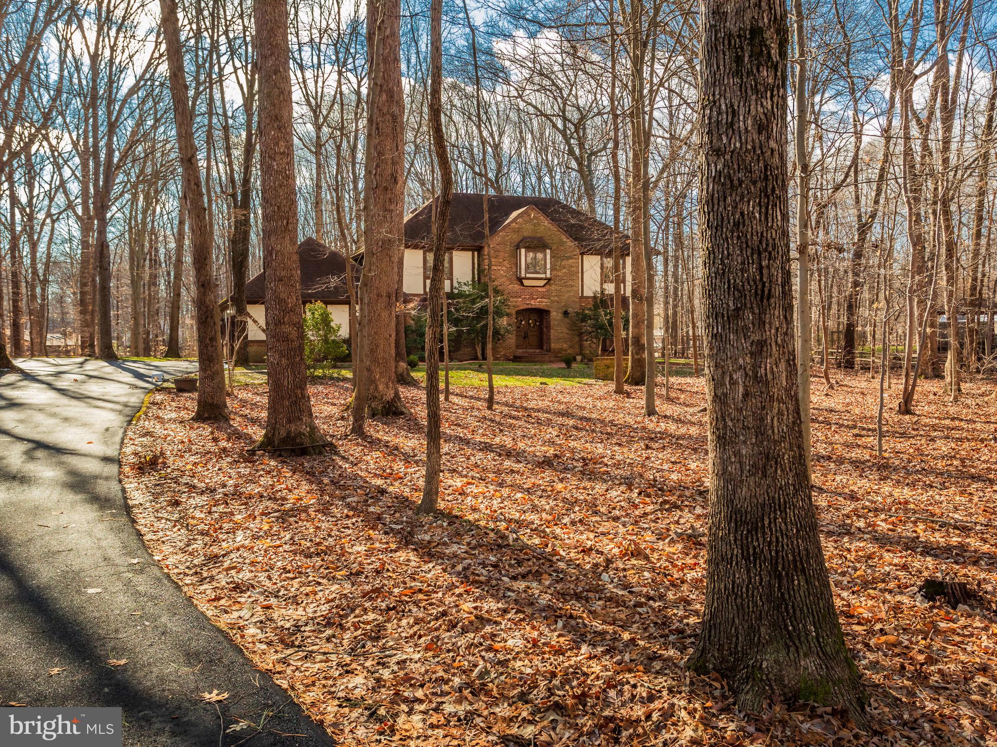 3681 Russell Road Woodbridge, VA 22192 - Photo 1 of 48 Long Driveway with wooded front lot and privacy.