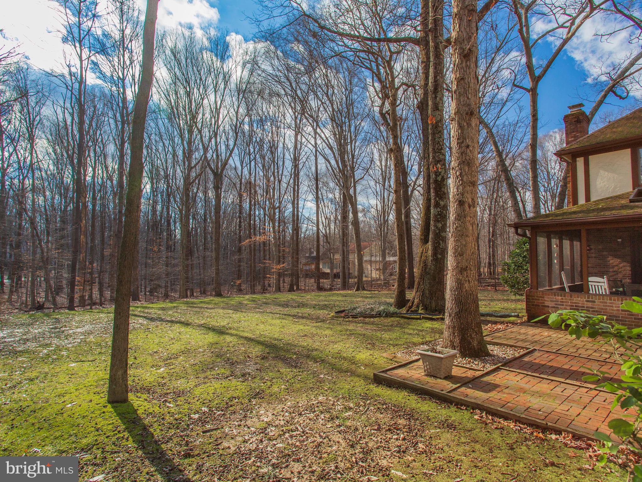3681 Russell Road Woodbridge, VA 22192 - Photo 48 of 48 Gorgeous wooded view from your patio.
