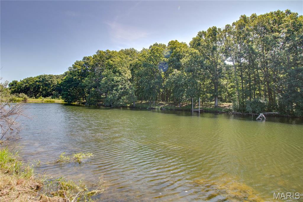 9368 Rhea Park Road Loami, IL 62661 - Photo 16 of 54