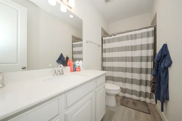 a bathroom with a sink a toilet a mirror and shower curtain